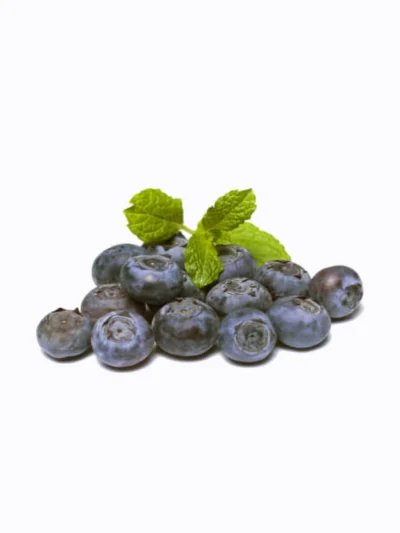 Blueberry